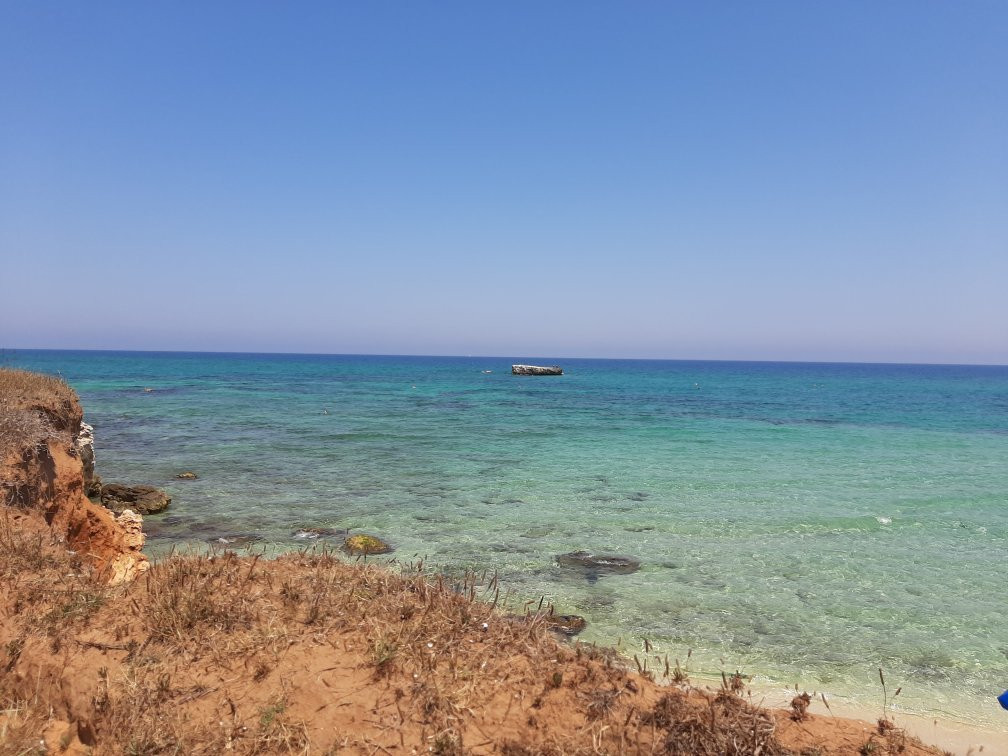 B&B Neptunia Fronte Mare主图