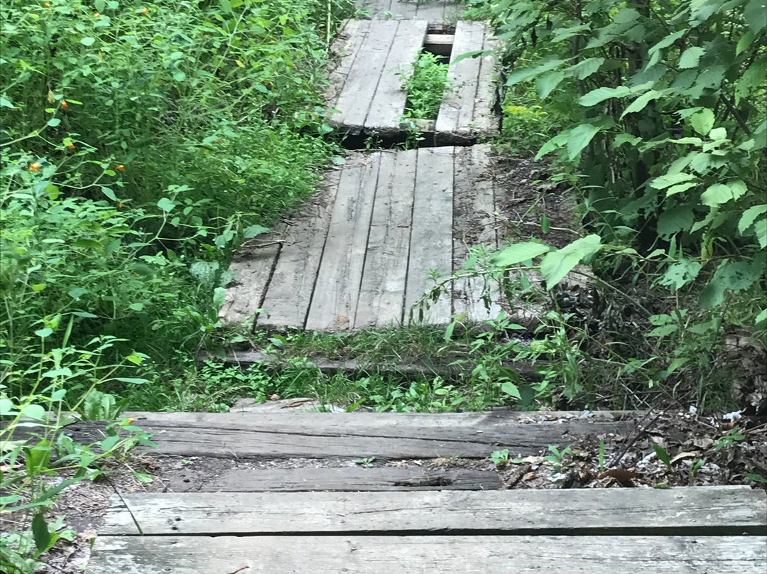 Bruce's Mill Conservation Park景点图片