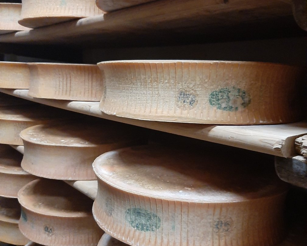 Coopérative Laitière du Beaufortain-Beaufort必去景点