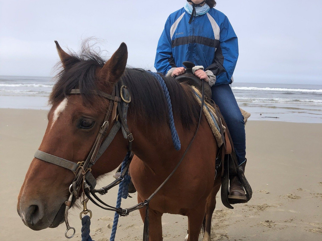 C & M Stables-弗洛伦斯必去景点