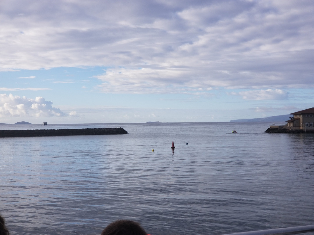 Maalaea Harbor-玛阿拉也亚必去景点