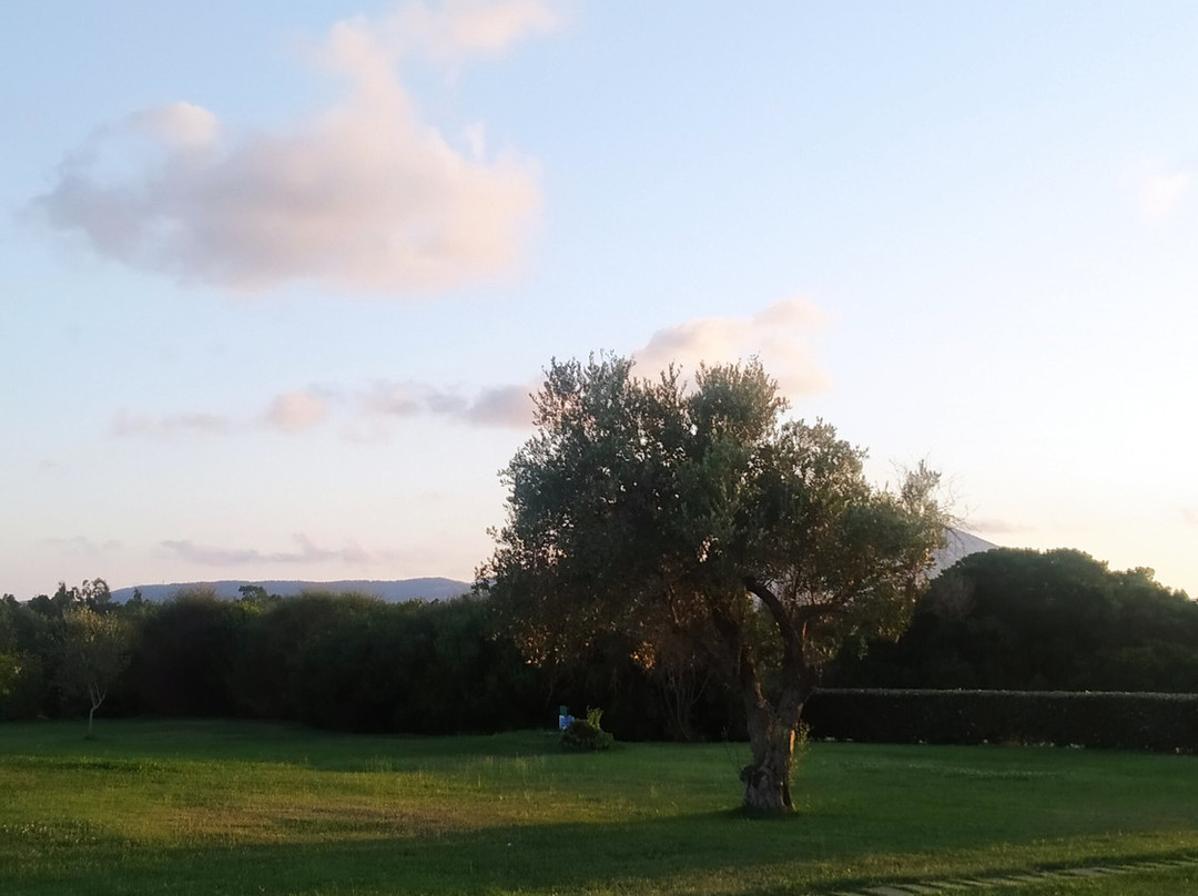 Inghirios Wellness Country Resort主图