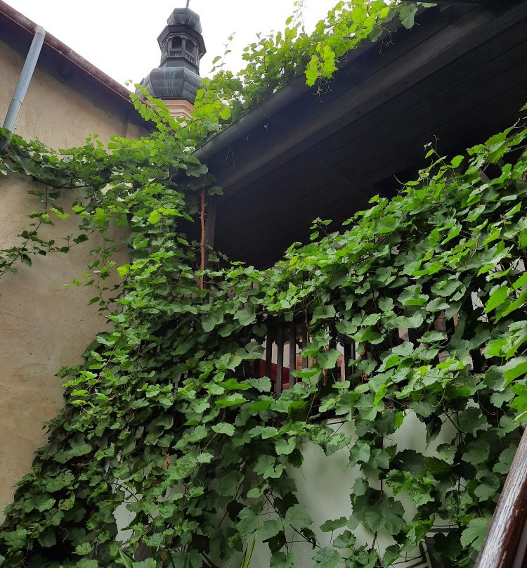 Gastehaus auf der Kunstmeile主图