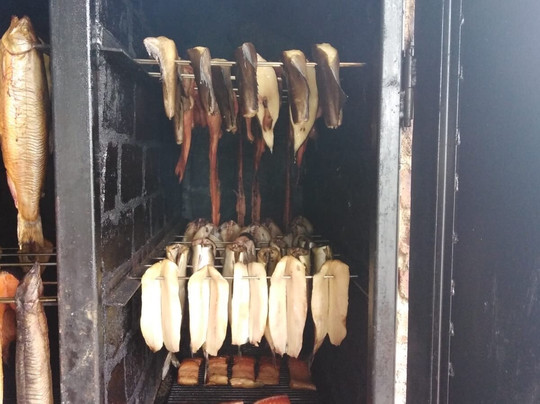 Bedzino旅游攻略图片