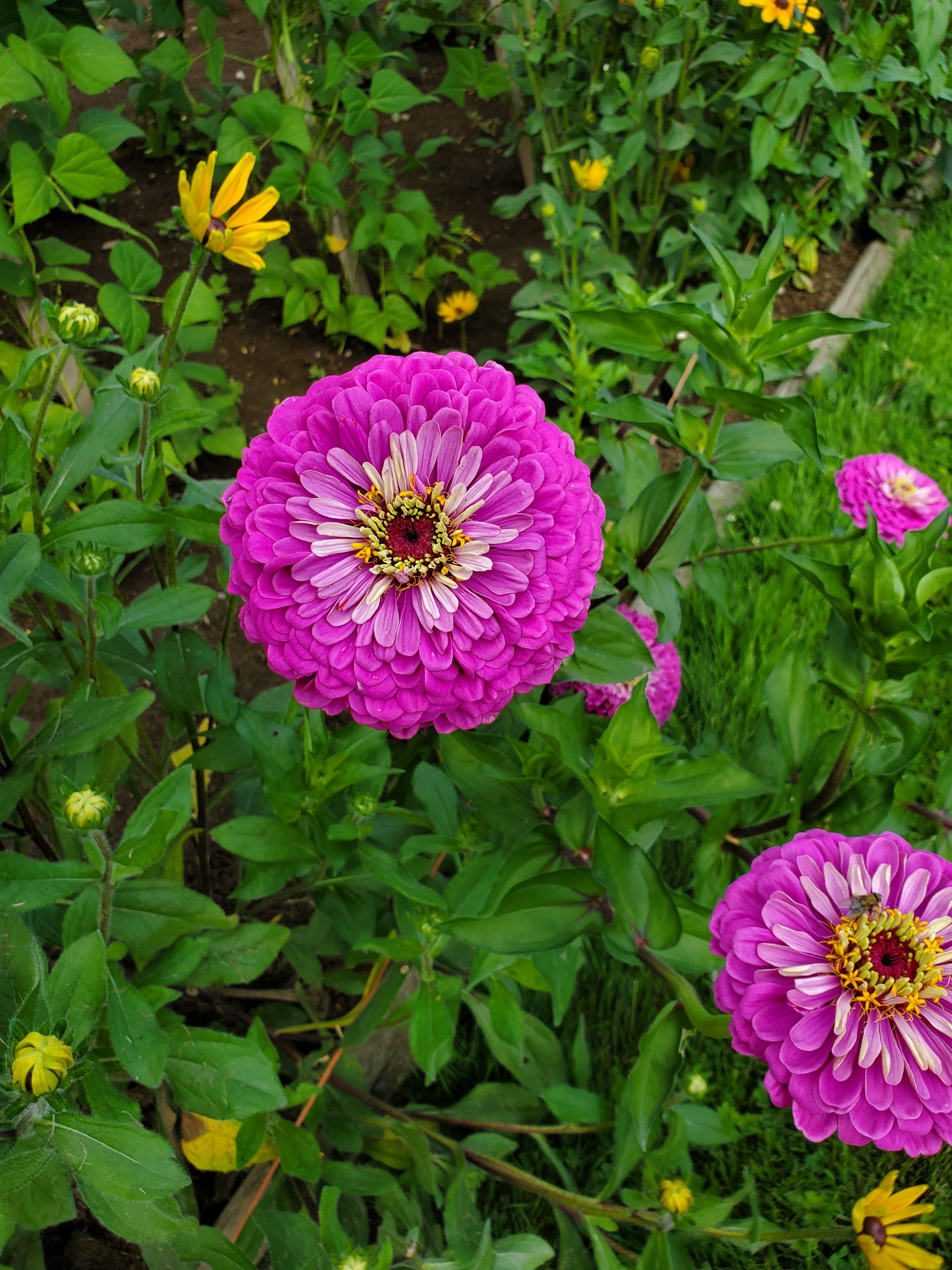 Blackberry Lane Bed and Breakfast-官方