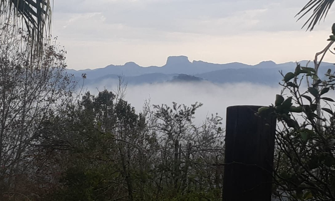 Reserva Santo Antônio do Pinhal主图