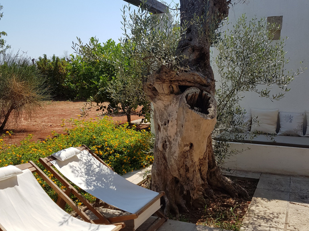 I Mulicchi Hotel主图