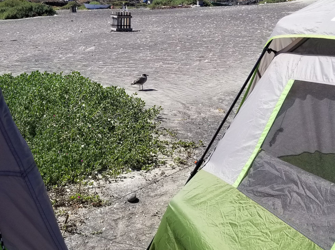 Don Eddie's Landing Hotel主图