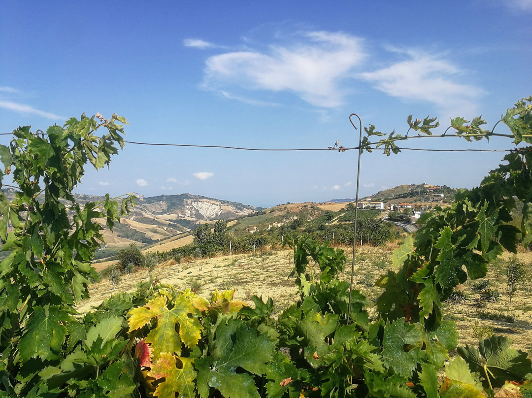 Le Quattro Piume
