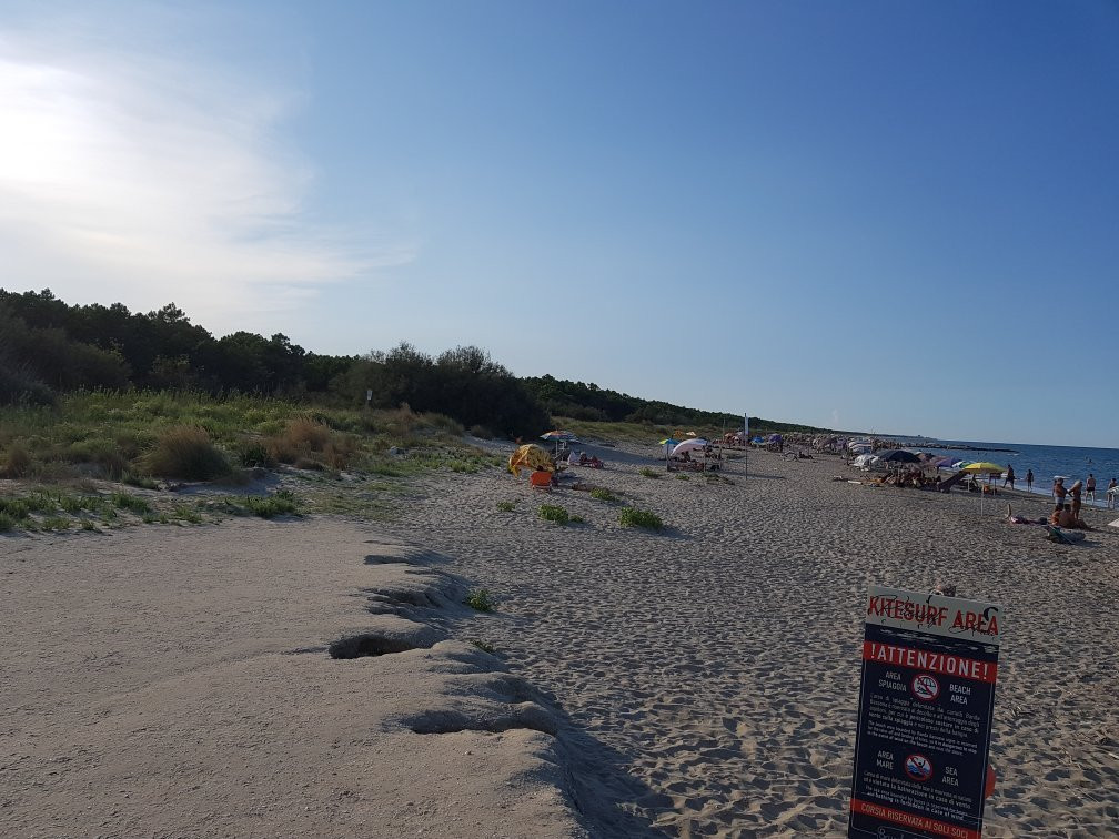 Spiaggia Libera Lido di Classe景点图片