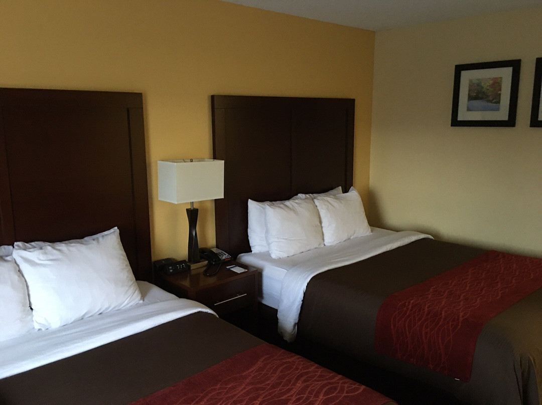 Comfort Inn & Suites Hillsville I-77主图