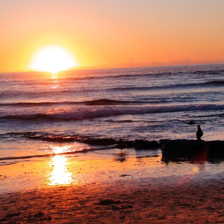 Praia do Magoito景点图片