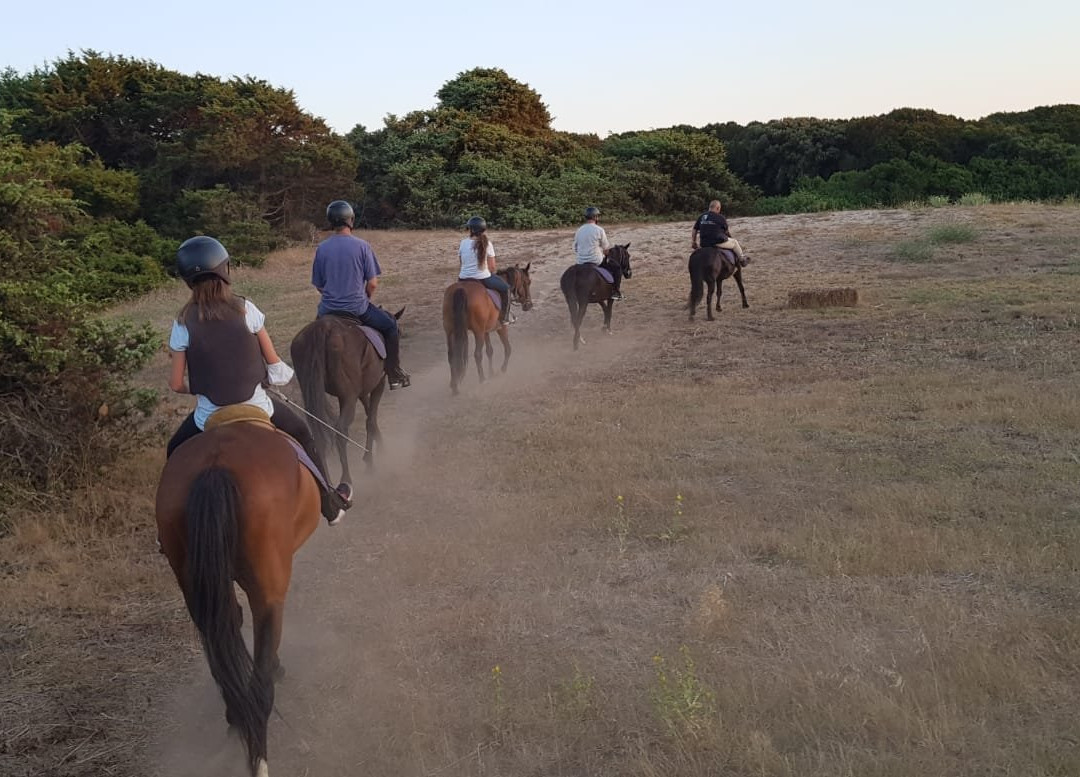 Centro Equestre La Rena Bianca-Badesi必去景点