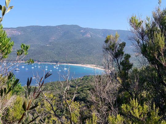 Tour Génoise De Capanella-Serra-di-Ferro必去景点