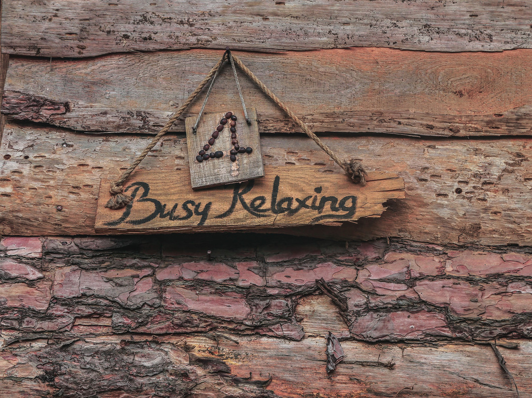 Chappi Mountains Homestay Bungalows & Coffee Resting Station主图