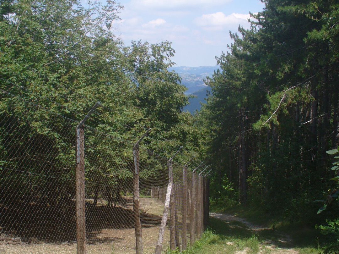 Parco Provinciale Monte Fuso景点图片
