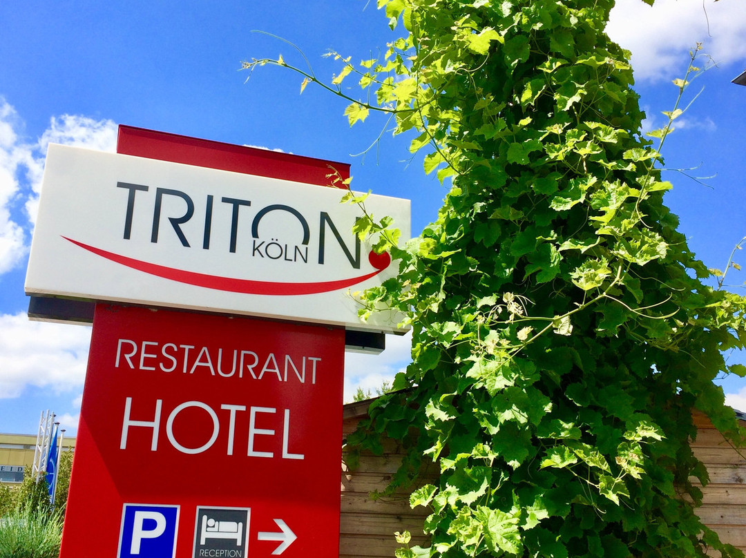Hotel Triton主图
