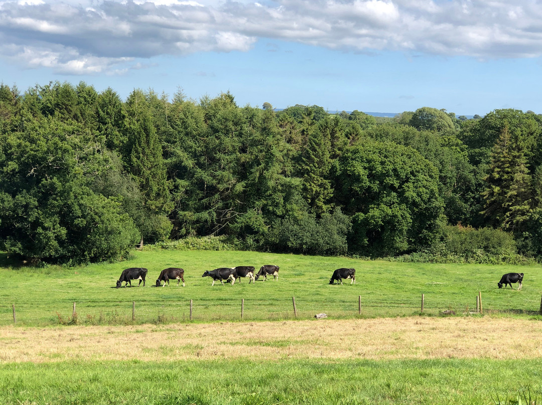 Feather Down Billingsmoor Farm主图