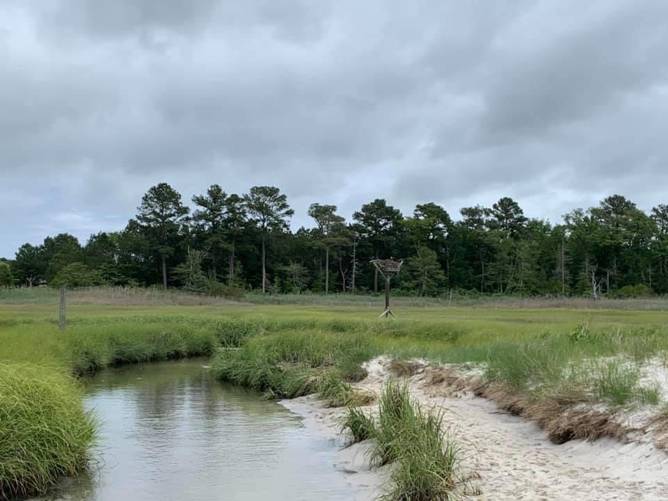 James Farm Ecological Preserve-Ocean View必去景点