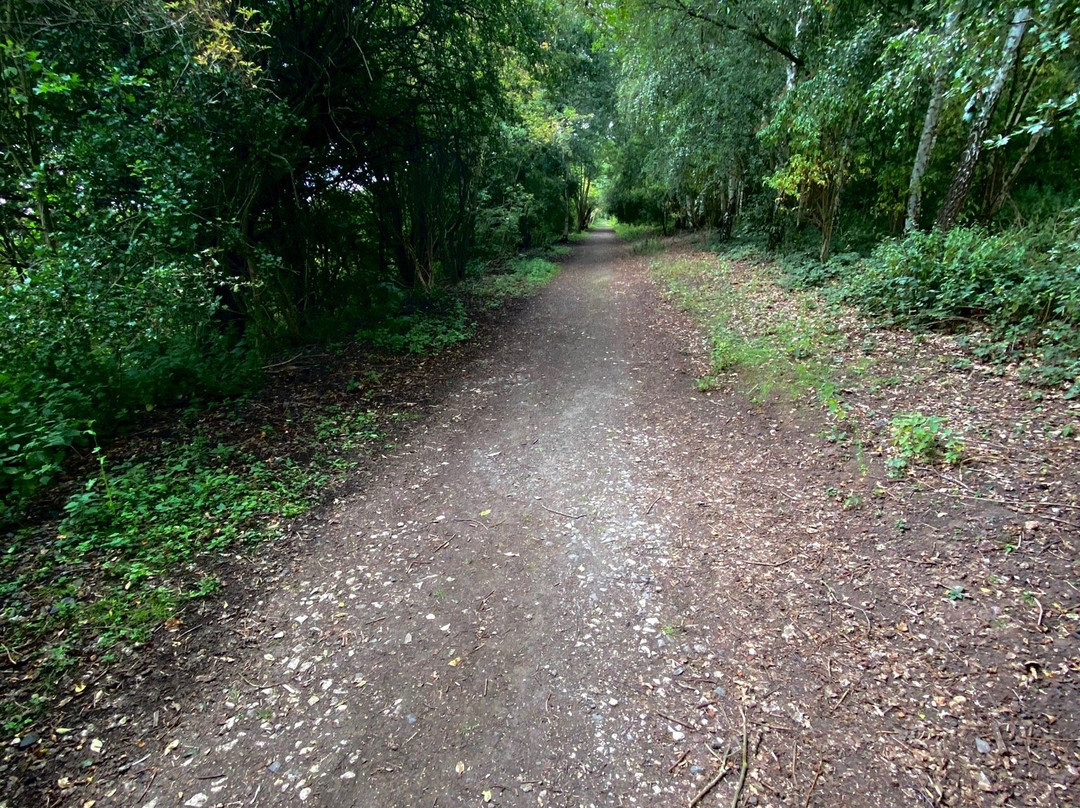 Barlow Common Nature Reserve景点图片