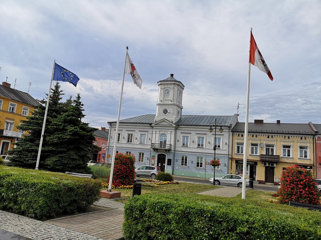 Town of Turek Museum景点图片