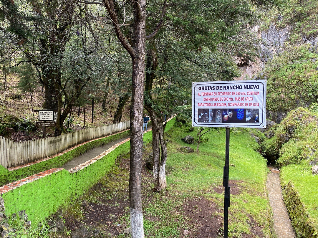 Parque Ecoturistico de Rancho Nuevo景点图片