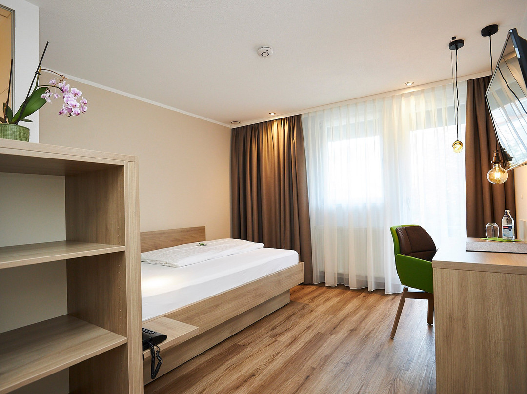 Flair Hotel Gruener Baum主图