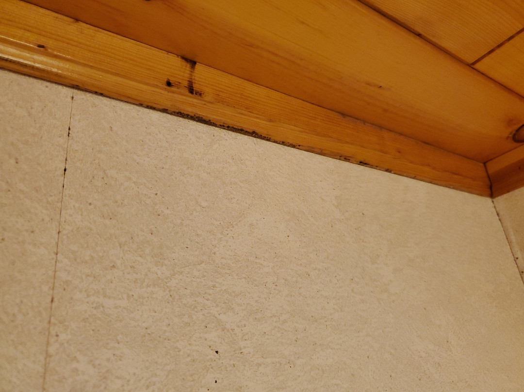 The Inn at Tomichi Village主图