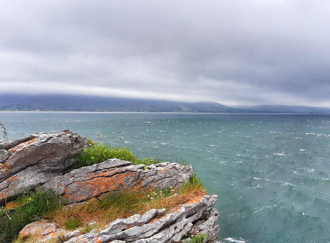 Tralee Bay Maritime Centre景点图片