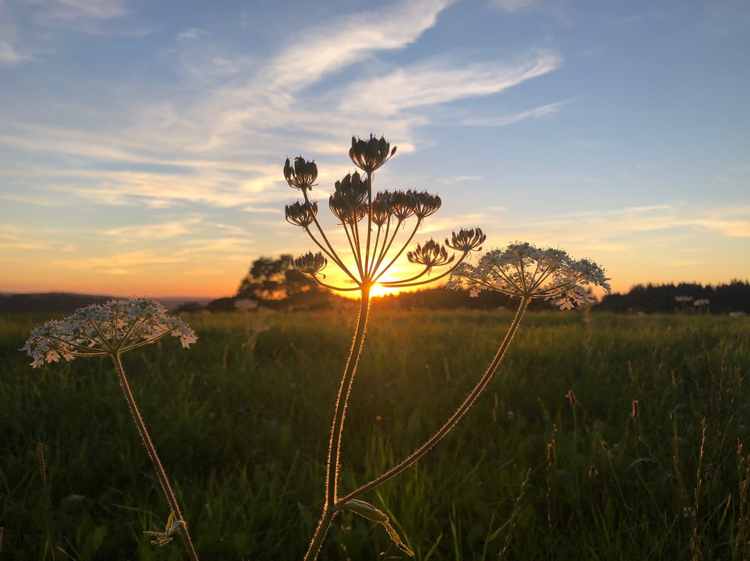 Hotel la Chaux-d'Abel主图