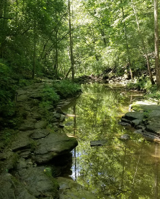 Fallsville Wildlife Area-New Vienna必去景点