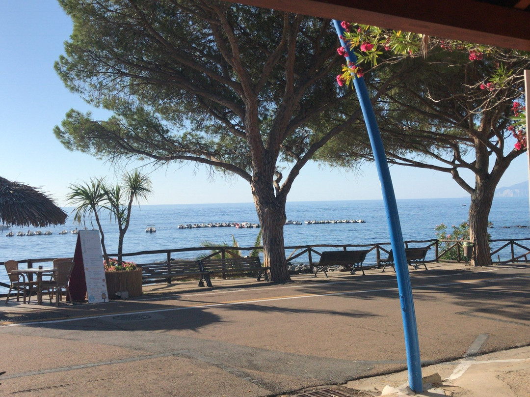 Bluforia Diving Center-Cala Gonone必去景点