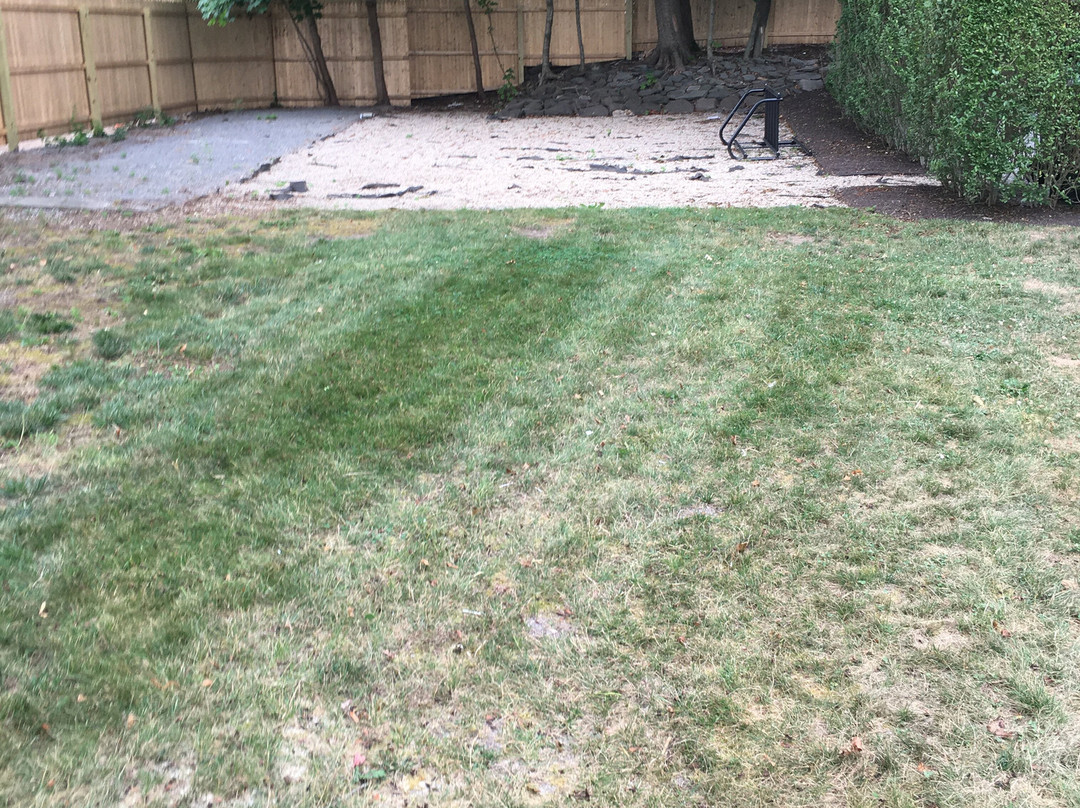 West Neck Guesthouse主图