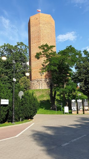 Kruszwica Medieval Castle景点图片