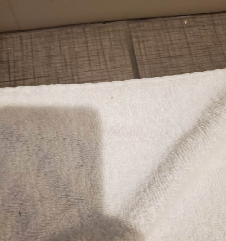 Hampton Inn Gulf Shores主图