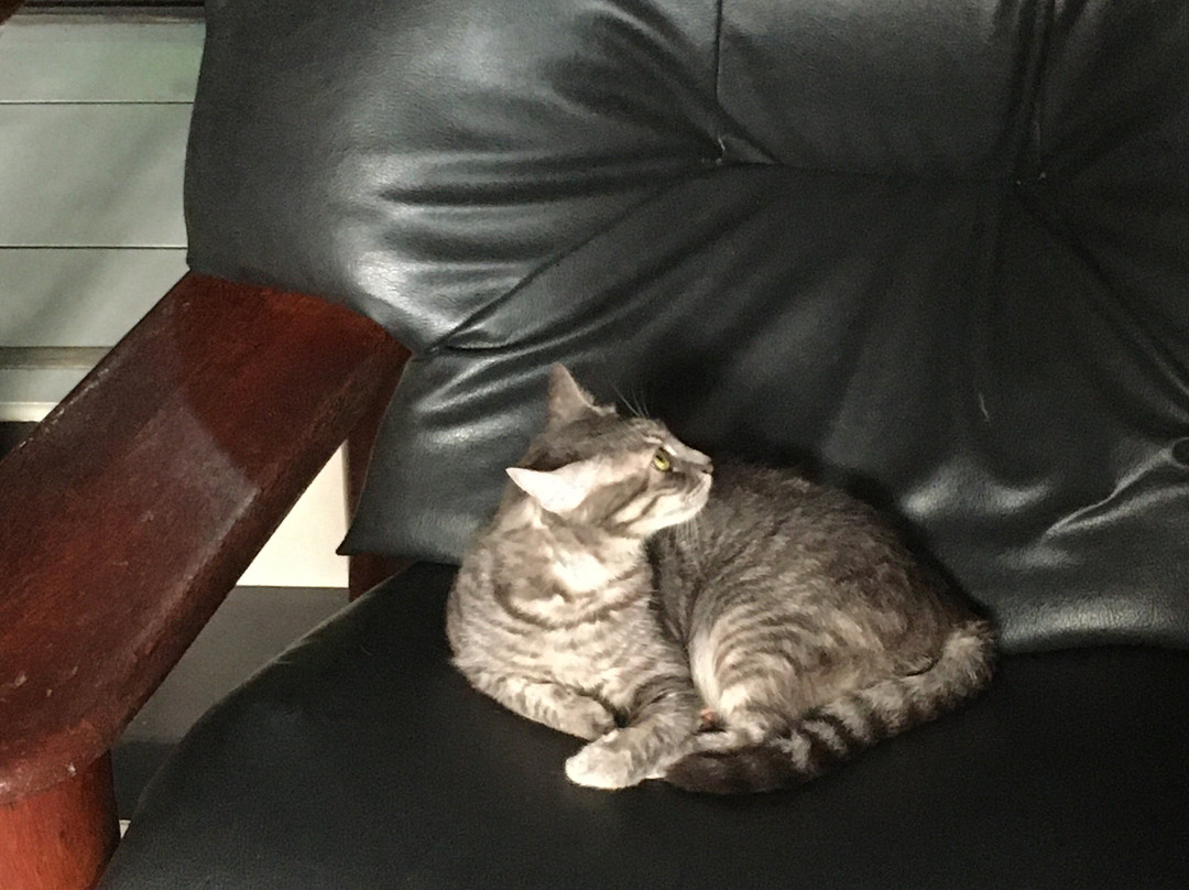 Maison D'Hotes Tutehau主图