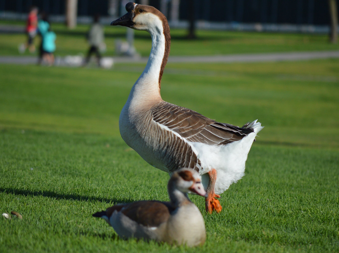 Don Knabe Community Regional Park