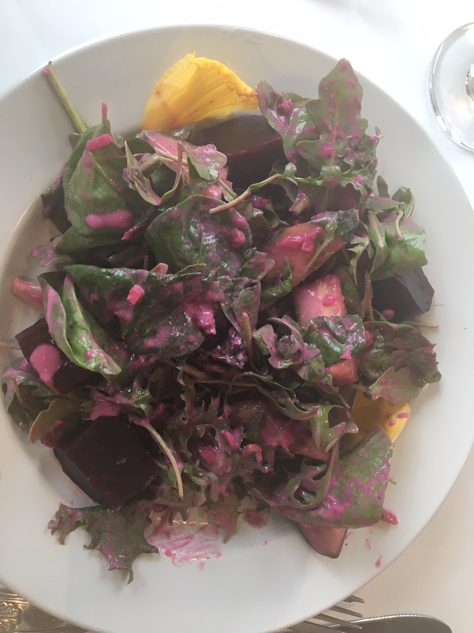Sebasco Harbor Resort & Golf Club-餐饮