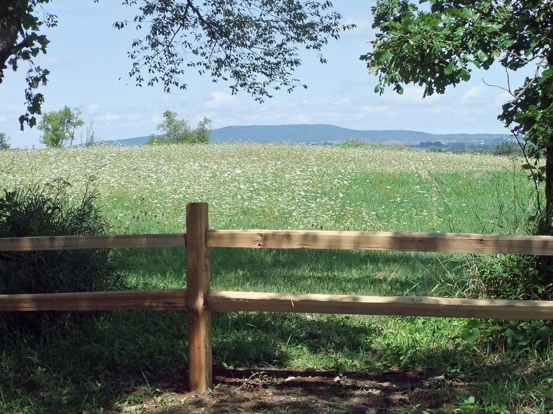 Town of Perry Hauge Historic District Park-Mount Horeb必去景点