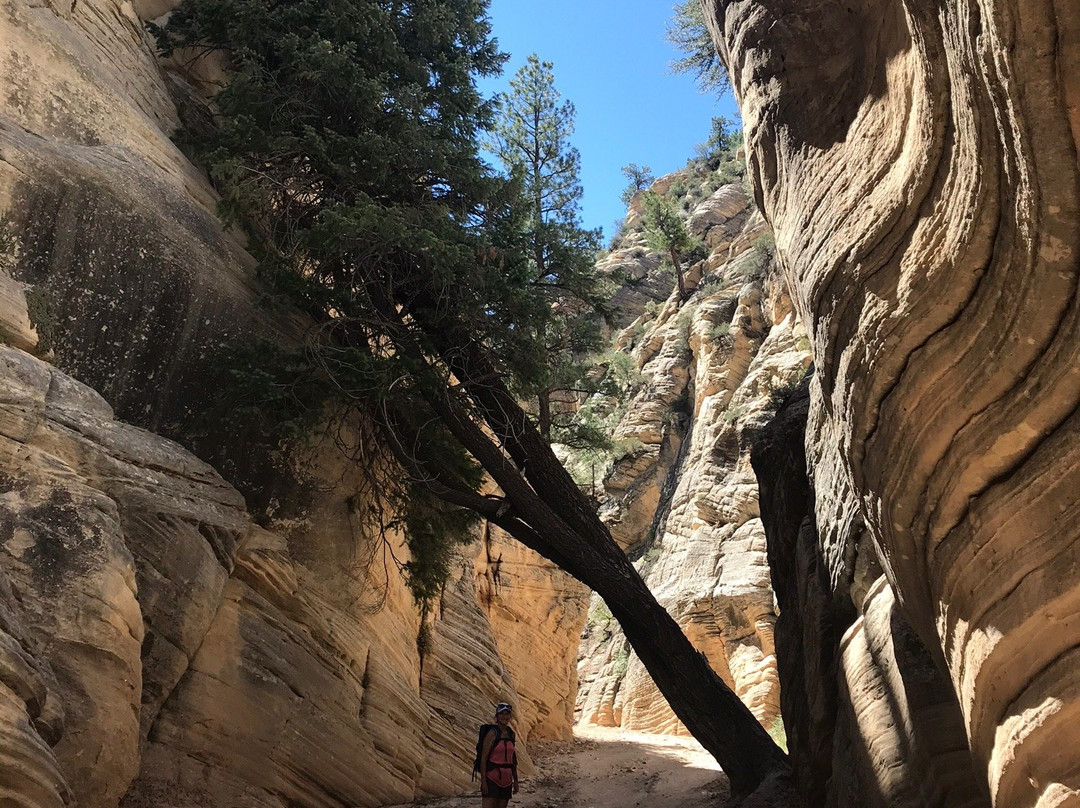 Lick Wash Slot Canyon-卡纳布必去景点