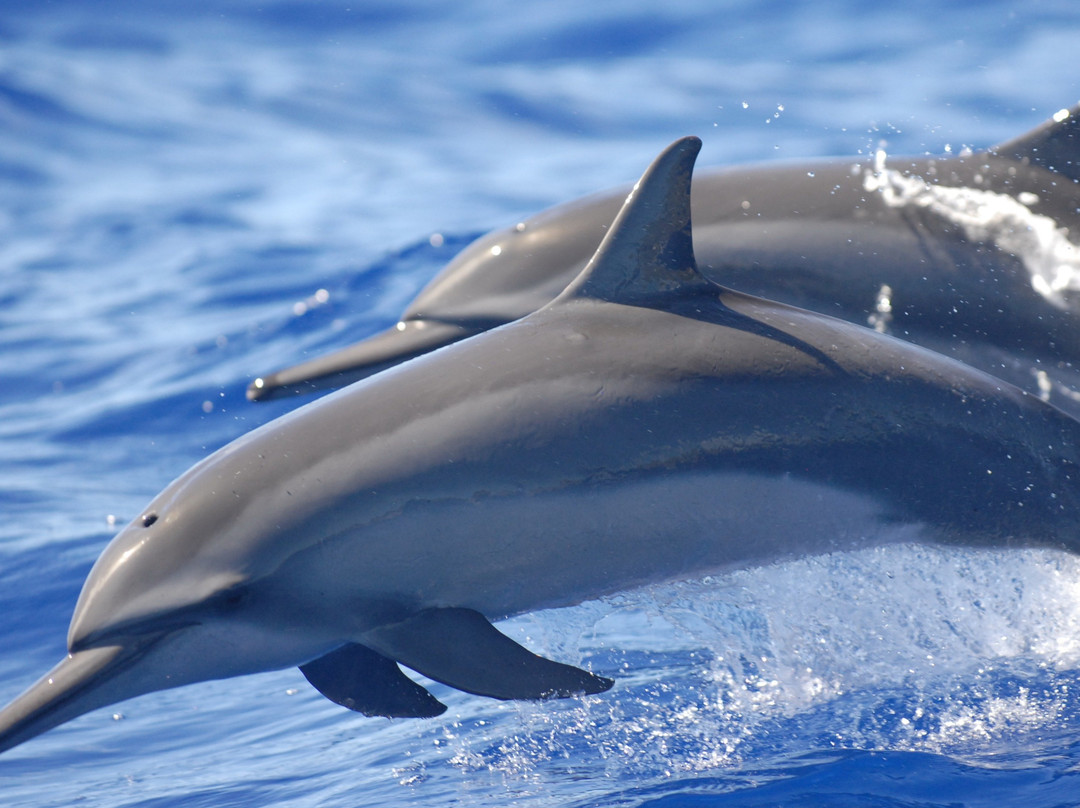 ADVENTURES IN PARADISE-凯乌渥必去景点
