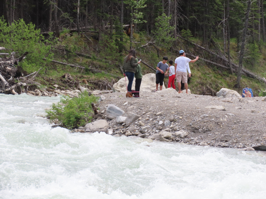 Elbow Falls Provincial Recreation Area景点图片