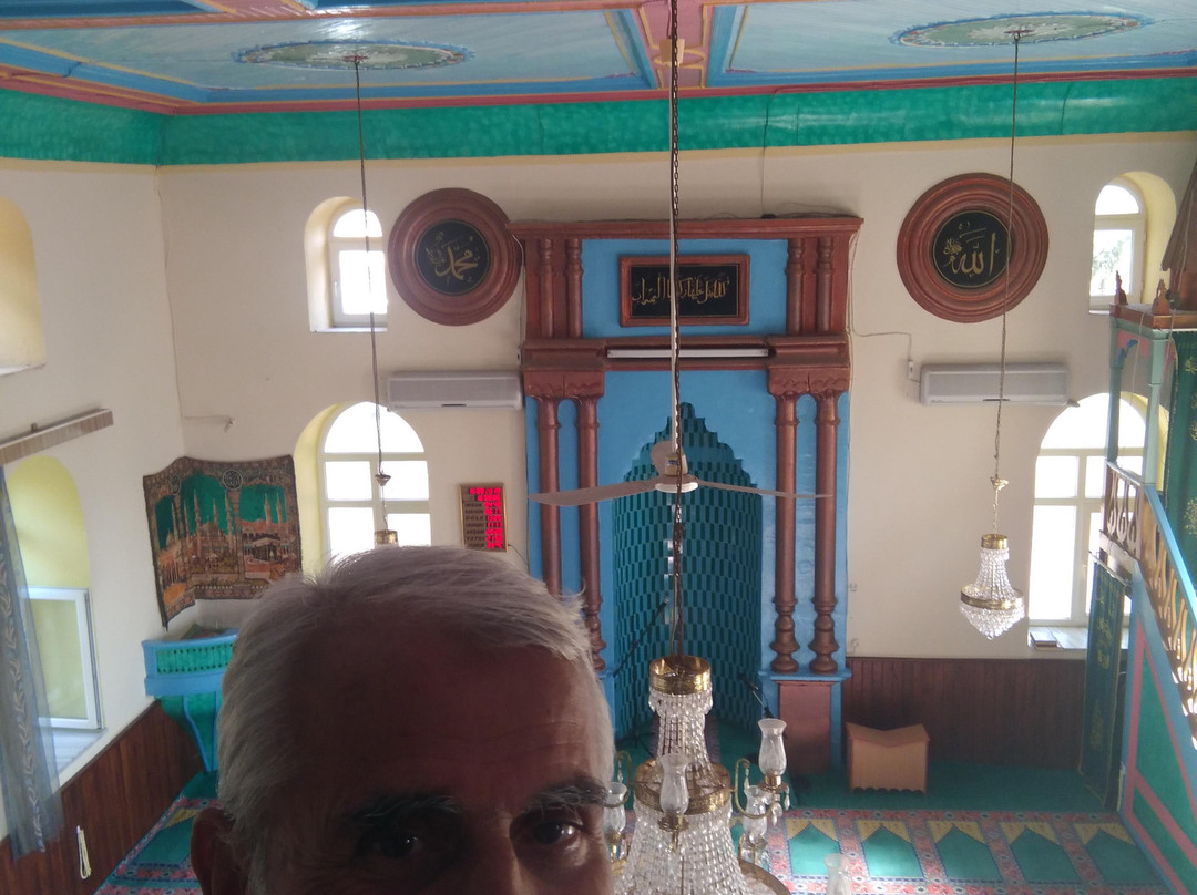 Bozalan Köyü Camii景点图片