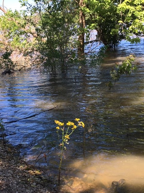 Two Rivers National Wildlife Refuge