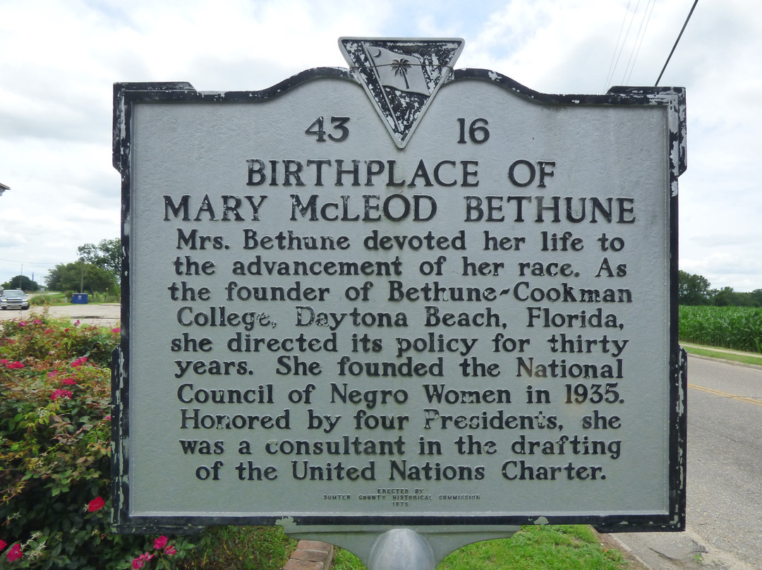 Dr. Mary McLeod Bethune Park景点图片