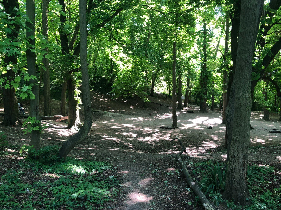 Harlton Clunch Pit and Woods