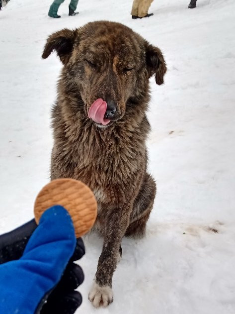 Solang Valley-默纳利必去景点