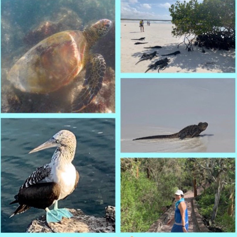 The Darwin Path - Travel Agency-阿约拉港必去景点