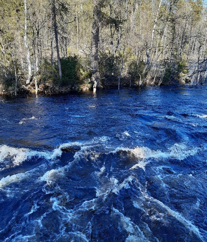 Oulanka National Park Visitor Center景点图片