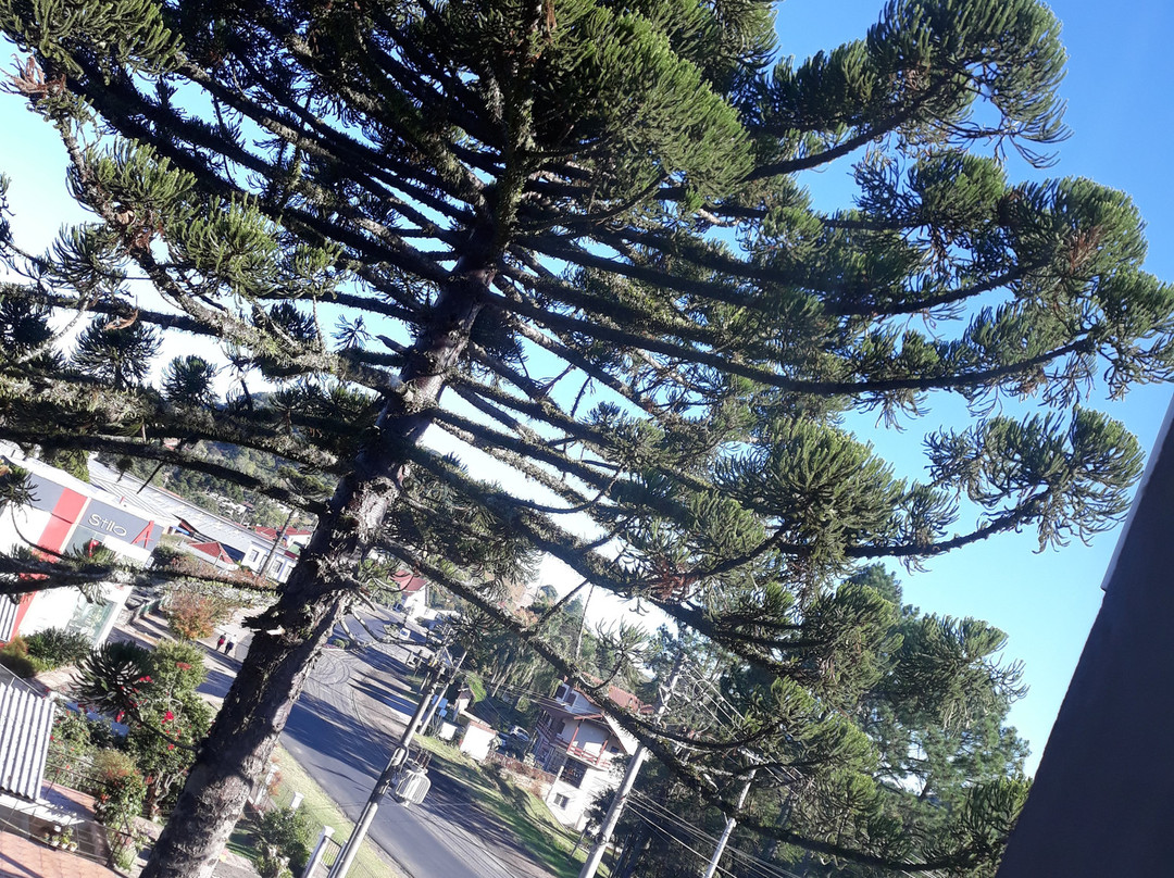 Rothenburg Hotel主图